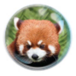 Obrázek z Magnet kulatý 5cm - panda červená (12) 