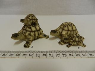 Obrázek z Želva s mládětem polyresin 8cm, 2dr. (4ks) 