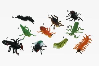 Obrázek z Hmyz strečový 7-12cm,12druhů (96) 