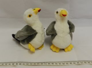 Obrázek z Racek plyš 13cm 