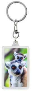 Obrázek z Klíčenka 3D 3,6x5,6cm - lemur(12) 