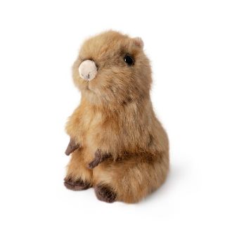 Obrázek z Kapybara sedící plyš 16cm AN788 