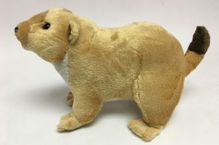 Obrázek z Psoun prériový plyš 20cm(6) 