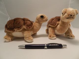 Obrázek z Želva plyš 20cm, suchozemská 