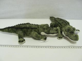 Obrázek z Krokodýl plyš 34cm 