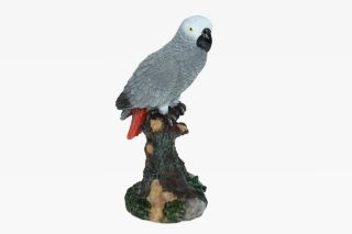 Obrázek z Papoušek šedý polyresin 18cm (2) 