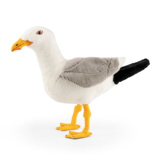 Obrázek z Racek stříbřitý plyš 29cm (6)AN668 
