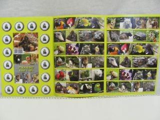 Obrázek z Pexeso - ZOO (25) 