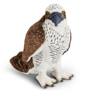 Obrázek z Orel mořský plyš 23cm (6)AN632 