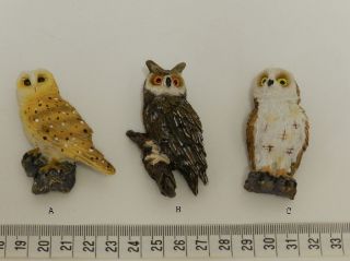 Obrázek z Magnet polyresin - sova 6,5cm, 3dr (12) 