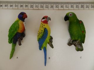 Obrázek z Magnet polyresin - papoušci 9cm, 3dr (12) 