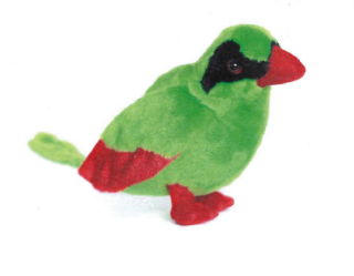 Obrázek z Ptáci plyš 20cm - Javan Green Magpie (6druhů) 