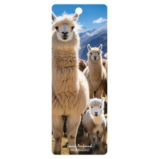 Obrázek z Záložka 3D 15,5x5,7cm - lama (25) 