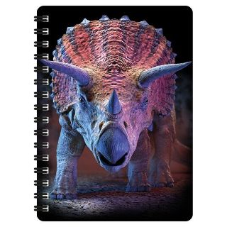 Obrázek z Notes 3D 11x14cm - Triceratops (10) 