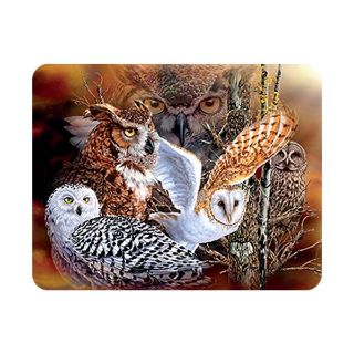 Obrázek z Magnet 3D 7x9cm - sovy (25) 