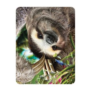 Obrázek z Magnet 3D 7x9cm - lenochod (25) 