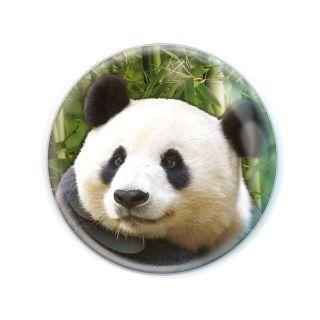 Obrázek z Magnet kulatý 5cm - panda (12) 