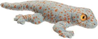 Obrázek z Gekon obrovský plyš 25cm (12) 