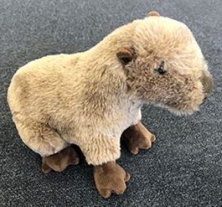 Obrázek z Kapybara plyš 23cm 