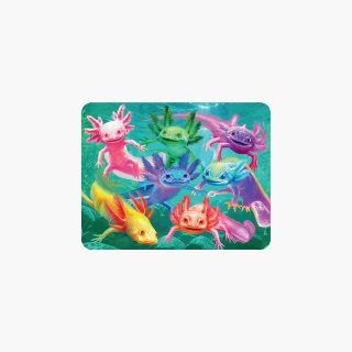 Obrázek z Magnet 3D 7x9cm - axolotl (25) 