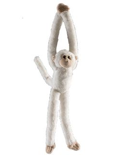 Obrázek z Opice bílá dlouhé ruce plyš 33cm (6) 